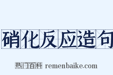 硝化反应造句是什么意思的图片